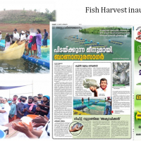 Fish Harvest Inauguration